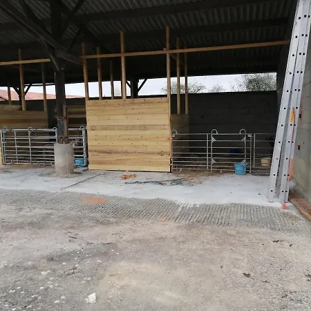 Maison Trichard Holiday home Brillac (Charente)