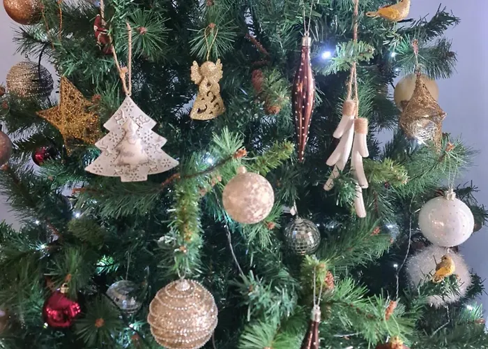 Maison Trichard * Brillac (Charente)